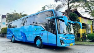 Bus Pariwisata Big Bird