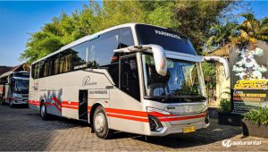 Bus Pariwisata White Horse